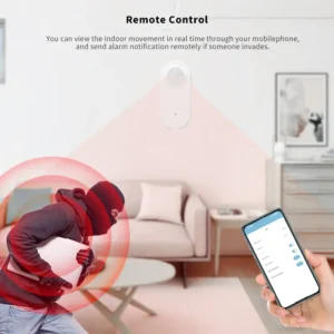 motion sensor